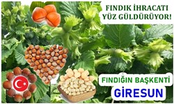 Fndk hracat Yz Gldryor